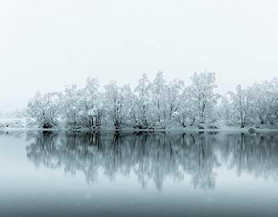 Rossiyada internetsiz Telegramdan foydalanish qurilmasi ishlab chiqildi