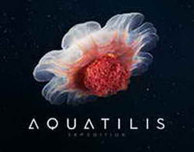 Қару ұстауға талап қатаяды: Сенат қауіпсіздікке қатысты жаңа заңды мақұлдады