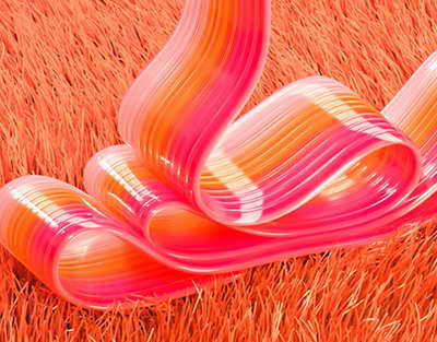 Trampın yeni planı nədir?